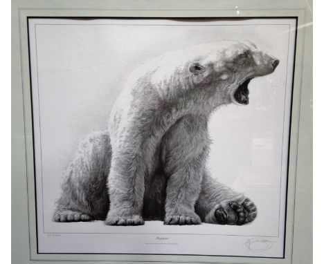 A John Mould limited edition print of a polar bear and further polar bear print, with certificates of authenticity to the rev