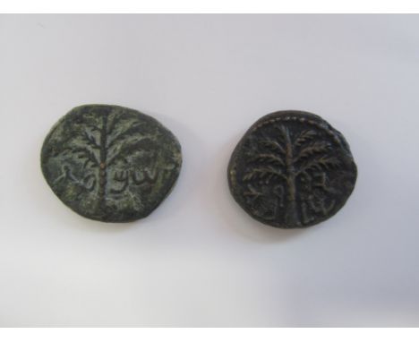 Judaea, 3rd revolt,Ae 17.5mm 5.2g. Obv. Seven branched palm tree with two bunches of dates, inscription below (Jerusalem), R.