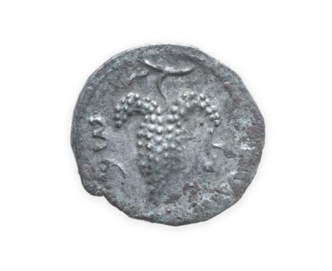 Judaea, 3rd revolt,Ar denarius 3.18g. Obv. Bunch of grapes on branch, inscription around lower half, R.Lyre with three string