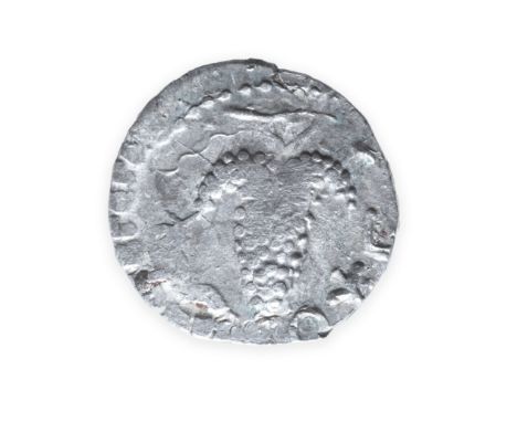 Judaea, 3rd revolt,Ar denarius 2.84g. Obv. Bunch of grapes on branch, inscription around lower half,                         