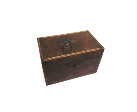 AN INLAID WALNUT TEA CADDY  early 19th century the two sectioned interior complete with glass mixing bowl, 22cm x 14cm x 13cm