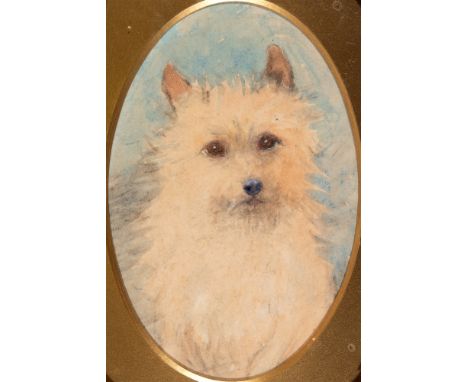 BRITISH SCHOOL (LATE 19TH / EARLY 20TH CENTURY)  Portrait of a Long-Haired Terrier,  watercolour, unsigned, 13.5cm x 9cm (ova