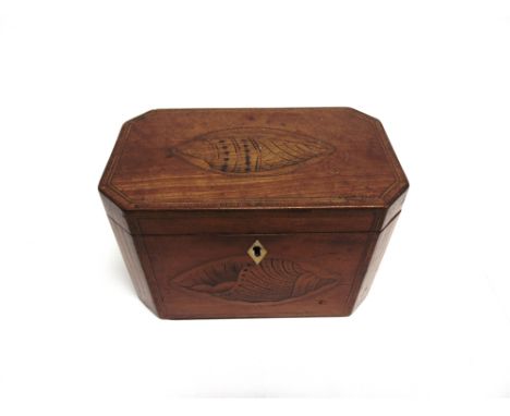 AN INLAID MAHOGANY TEA CADDY  early 19th century the lid and front with shell decoration within strung ovals, the two section