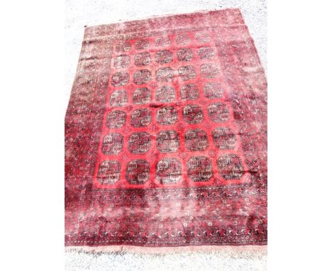 A RED GROUND AFGHAN CARPET  the central field with five rows of seven guls, 340cm x 255cm