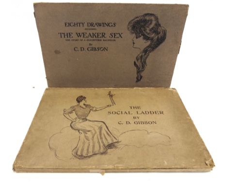 [ART]  Gibson, Charles Dana. The Social Ladder, Russell / Lane, New York / London, 1902, quarter ivory cloth with bevelled pi