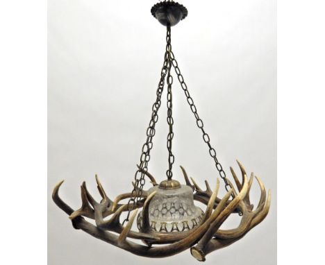 Antler Furniture: Antler Chandelier, a Red Deer antler mounted chandelier, constructed from eight shed Red deer antlers, fitt