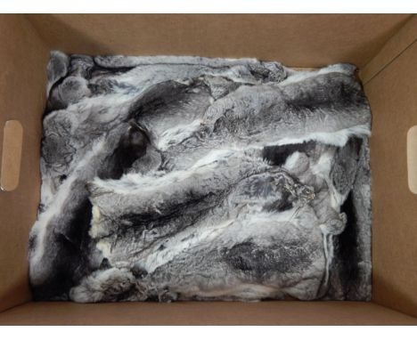 Hides/Pelts: Chinchilla (Chinchilla lanigera), modern, twenty six farmed light grey/black pelts, various sizes, (26)