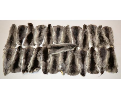 Hides/Pelts: Chinchilla (Chinchilla lanigera), modern, twenty five farmed light grey/black pelts, various sizes (25)