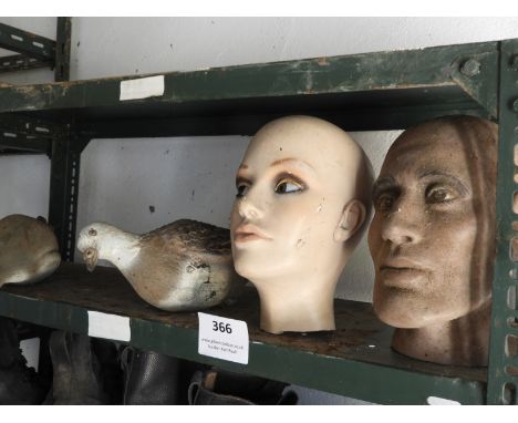 Two Mannequin Heads and Two Decoy Pigeons 