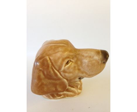A Poole Pottery wall mounted model of a dog's head after a design by Harold Brownsword, modelled as a Retriever.