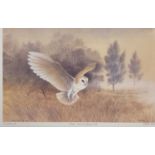 PHILIP SNOW (English b.1947) artist proof print - 'Barn Owl/Tyllian Wen', signed in pencil, 37 x