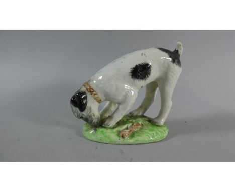 A Staffordshire Ceramic Study of Terrier Burying Bone, 11cm High (Tail Glued) 