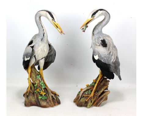 COALPORT;&nbsp;a pair of limited edition figures of&nbsp;herons, modelled by Anthony Green, the slightly taller approx 43.5cm