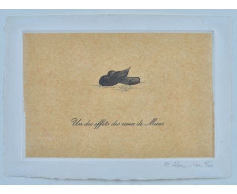 Richard Hamilton (British, 1922-2011), Un des effets des eaux de Miers, 1973, signed and numbered in pencil 'R Hamilton 6/100
