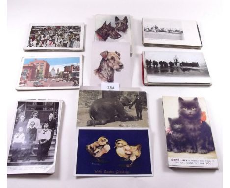 Postcards - animals including Louis Wain ducks, dogs (mainly Godfrey Phillips) cats etc, foreign, military, royalty etc. - co