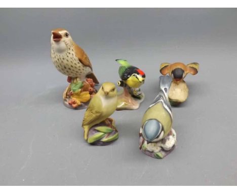 Four Royal Worcester birds, to include thrush, blue-tit and others, together with a Royal Adderley ruby crowned kinglet (5) 