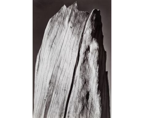 ANSEL ADAMS (AMERICAN 1902-1984)White Stump, Sierra Nevada, California, 1936, printed 1970gelatin silver print, Plate 9 from 