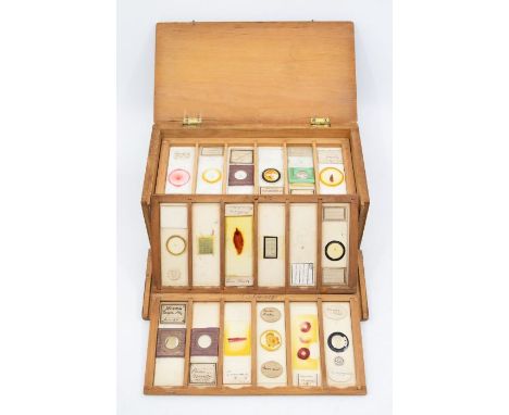 A cased set of late-Victorian &amp; Edwardian specimen slides with manuscript labels, including 'Gizzards of 2 Fleas', 'Muscu