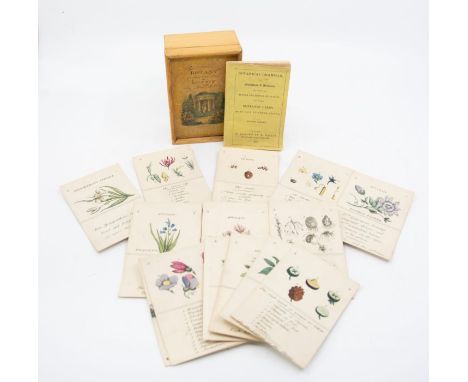 Georgian botanical card game. The Science of Botany according to the system of Linnaeus, by&nbsp;Mad'lle de Cély, complete w