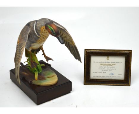 A Royal Worcester 'Green-Winged Teal (Anas carolinensis)', modelled by R. Van Ruychevelt, no.148/500, on burr walnut fitted b