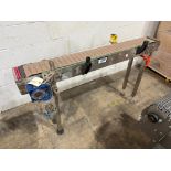 Stainless Steel 7.5" Conveyor with Drive and Legs