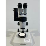 Wild Heerburg M3 Stereo Microscope