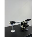Olympus BX53 Microscope