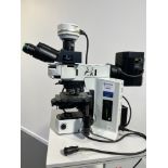 Olympus BX51TF Dual Observation Microscope