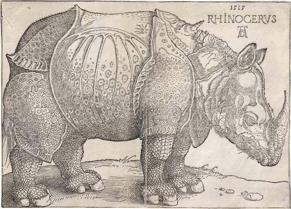 Durer Albrecht Das Rhinozerosdas Rhinozeros Holzschnitt 21 2 X 29 5 Cm 1515 B 136 Meder 2