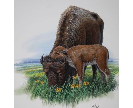 Don Balke (North Carolina, B. 1933) "American Bison" Signed lower right. Original Watercolor painting on Illustration Board. 