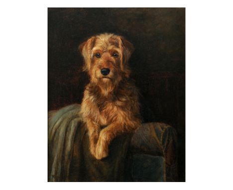Monica Gray, a portrait of a terrier, oil on canvas, signed, 49.5 x 39 cm  See illustration   Condition report  Report by GHC