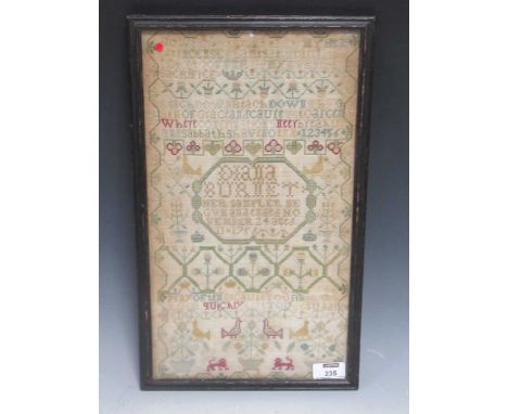 An 18th century needlework sampler, worked by Diana Burnet, her sampler begun and ended November 24th aged 11, 1756 40.5 x 23