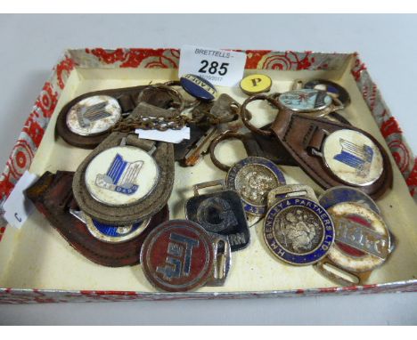 A Collection of Enamel Badges Etc