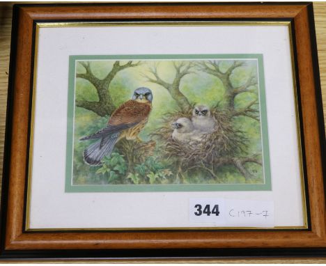 T.H- enamel plaque of Kestrel and chicks in a nest, 12 x 17cm.