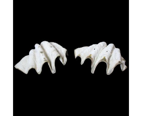 A pair of large composition giant clam shells,  72 cm x 52 cm x 27 cm