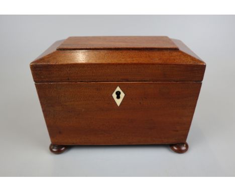 Small mahogany sarcophagus tea caddy