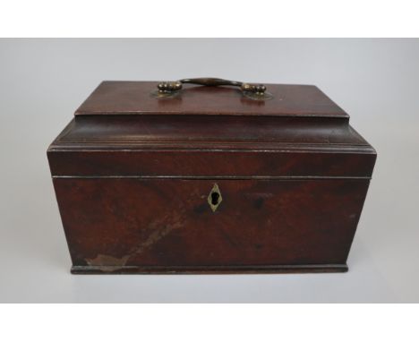 Georgian 3 compartment tea caddy
