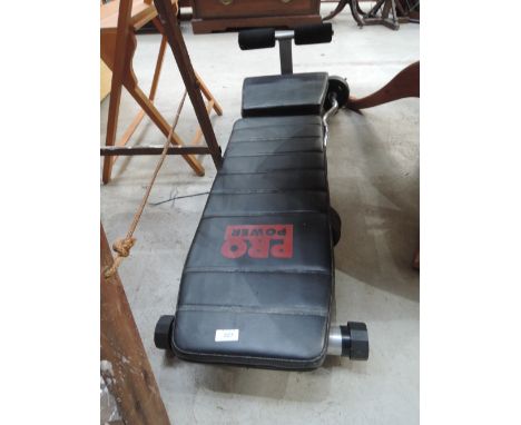 A Pro Power weights bench