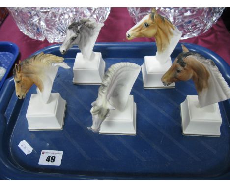 Royal Worcester Mounted Horse Heads, to include 'Eous', 'Phlegon', 'Lampon'. (5)
