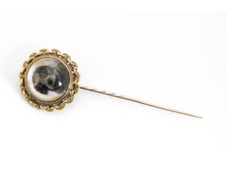 A 19th Century Essex reverse painted rock crystal stick pin, long haired dog mask, on a gold chain linked mount and replaced 