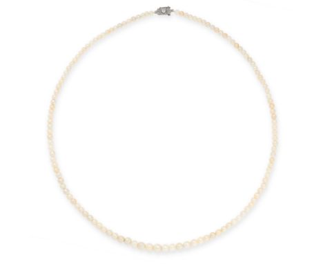 A NATURAL PEARL AND DIAMOND NECKLACE comprising a single row of one hundred and twenty six graduated pearls ranging 7.1mm to 