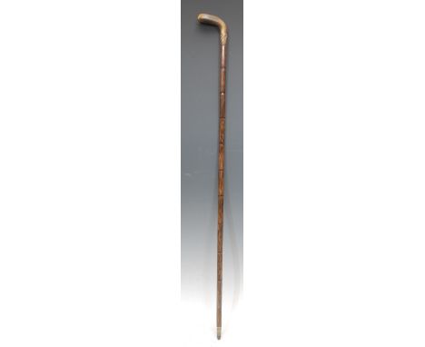 An early 20th century Sunday or sabbath walking stick, the horn handle as a golf club, palmwood cane, gilt metal ferule, 81cm