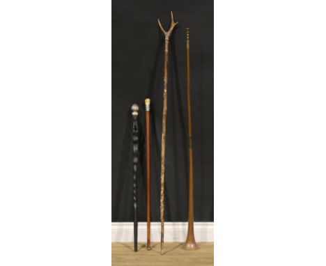 A Victorian ebonised and silver mounted walking stick, the cane carved with a lion sejant, gadrooned pommel, 86cm long, John 