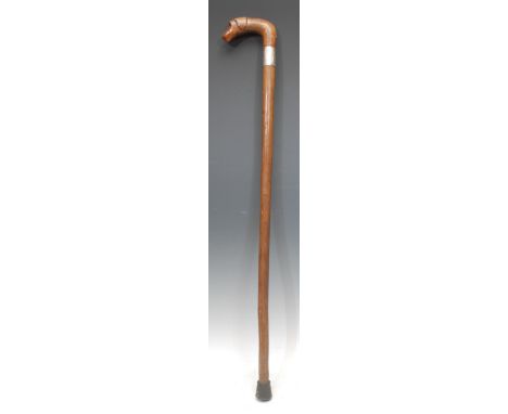 A Victorian silver mounted novelty walking stick, the handle carved as the head of a dog, thorn wood walking stick, 89cm long