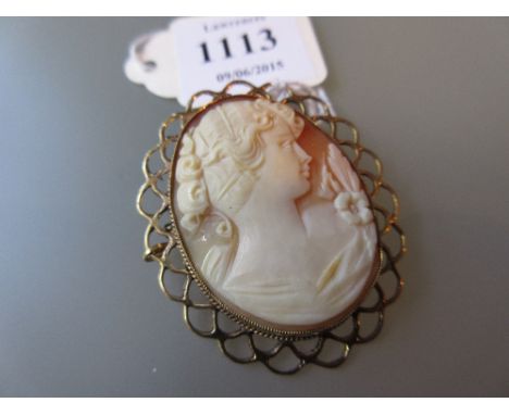 9ct Yellow gold mounted oval shell carved cameo portrait brooch with pierced border
