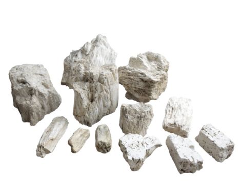 A LARGE COLLECTION OF FOSSIL FRAGMENTSincluding nine fossilised tree fragments, the tallest 24cm high, the smallest 12cm high