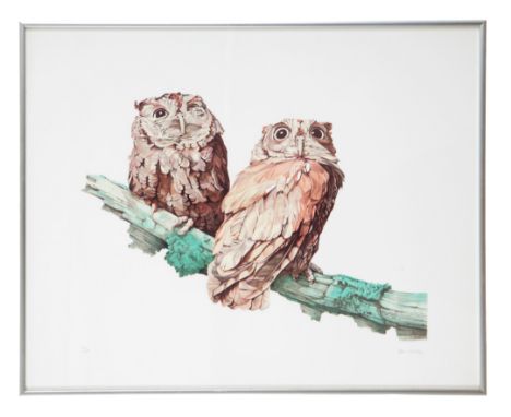 *DONALD 'DON' CORDERY (b. 1942) 'Screech-owls'signed and numbered 76/150 in pencil to the margin, lithograph, printed on T.H.