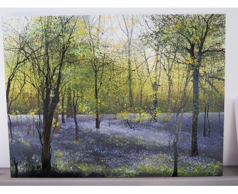 Beckie Reed acrylic and enamel on canvas, The secret wood 2010 - 76cm x 102cm, good condition, see Byard Art Cambridge 