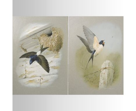 Terance James Bond *ARR, (b.1946), a swallow in flight chasing a fly, signed gouache on paper, together with the companion, a