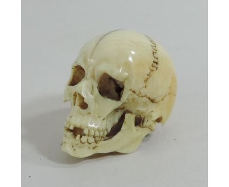 A 19th century Japanese carved ivory netsuke, finely carved in the form of a human skull, 3cm high